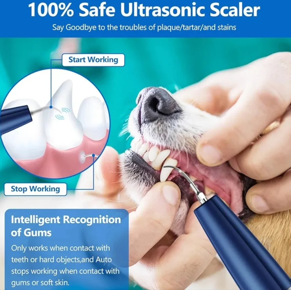 Ultrasonic‎ Dog Teeth Cleaner - Blue